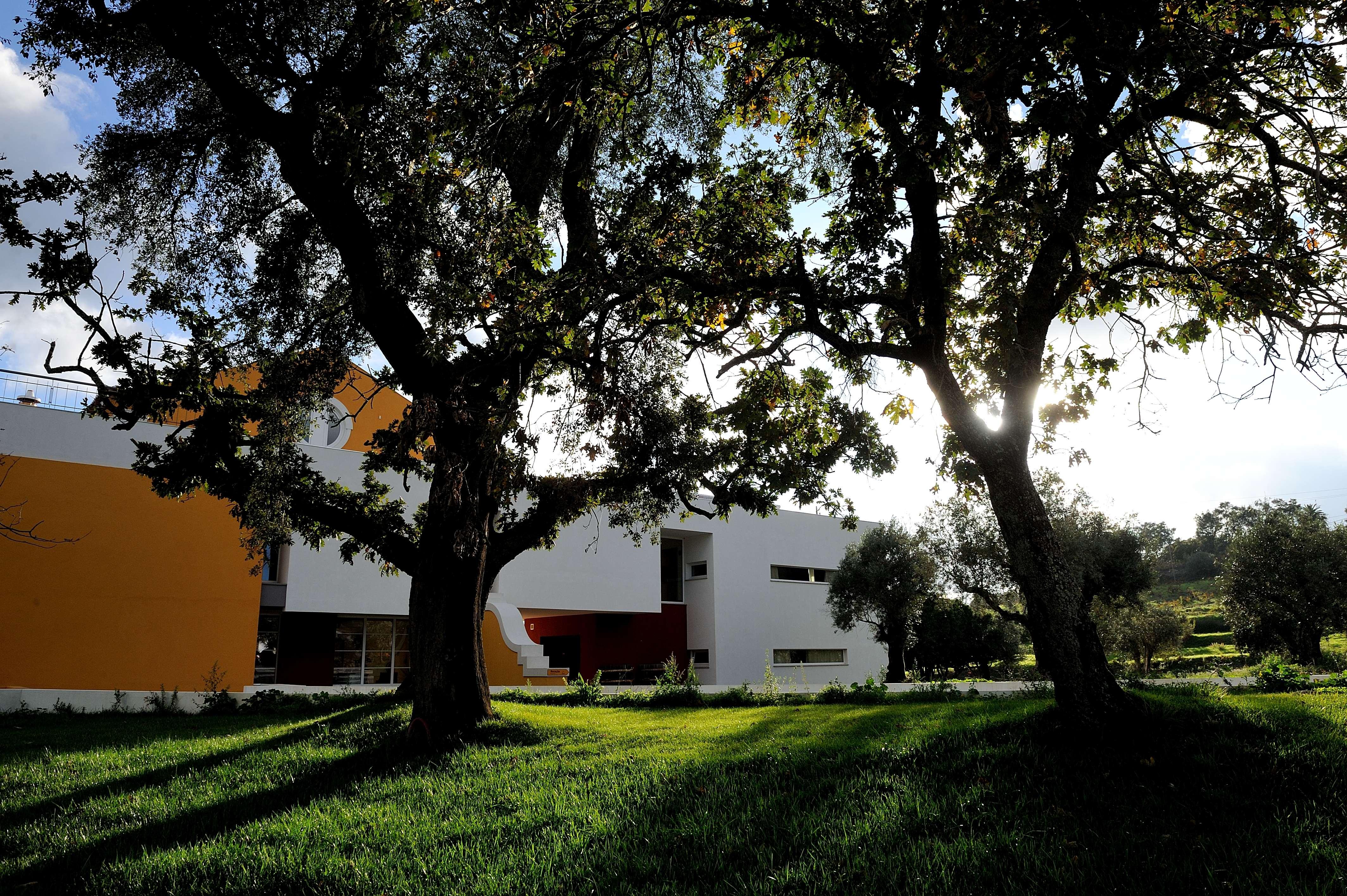 Cabecas Do Reguengo Casa de hóspedes Portalegre Exterior foto